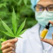 Is Hemp vs Marijuana The Same