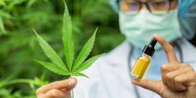 Is Hemp vs Marijuana The Same