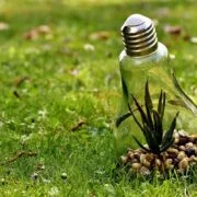What Is Green Technology How It Could Save The Environment